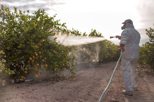 Best Affordable Pest Control Services  in Gold Key Lake, PA